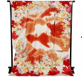 和服 老鹰猜明星,揭秘明星身份大猜想