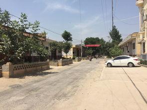 西安伏茶小镇新闻头条,千年古茶文化焕新颜，打造乡村振兴新样板