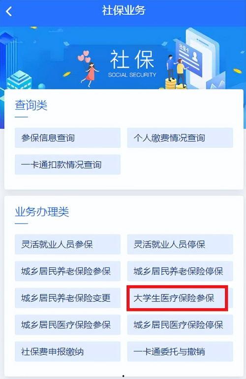 今日头条怎么交医保的,今日头条教你轻松办理医保手续