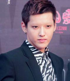 无眉男明星,揭秘那些独具魅力的无眉男明星