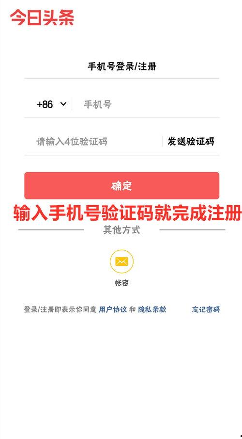 贾晓月头条账号,揭秘明星幕后故事，带你走进娱乐圈