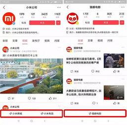 头条可以添加的小程序,头条小程序，轻松解锁无限可能