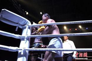 香港明星演拳王,香港明星的激战传奇