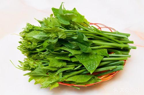 扶手瓜尖尖怎么吃,扶手瓜尖尖的多样食法探索