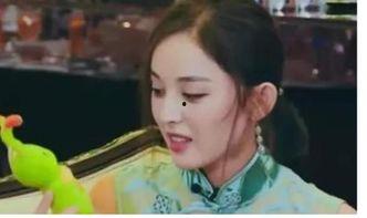 礼物鸳鸯是哪个明星,揭秘明星夫妻甜蜜背后的故事