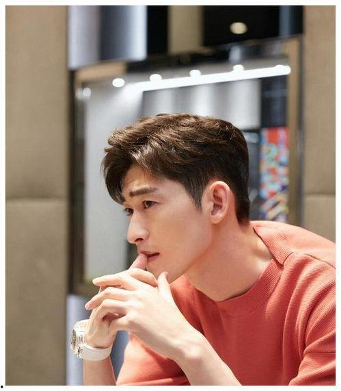 爆料娱乐圈张翰是谁啊,揭秘张翰的真实身份与背景