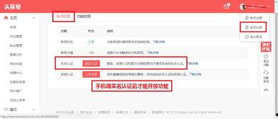 头条自媒体教程,轻松掌握自媒体运营技巧，开启内容创作新篇章