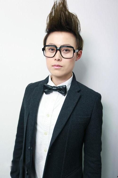 明星刘力豪,星光璀璨的演艺之路