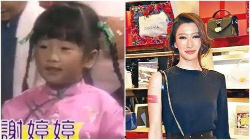 台湾节目爆料雪梨视频,真相令人震惊！