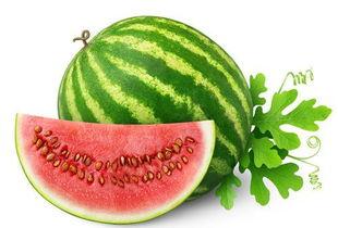 瓜怎么调着吃才好吃,解锁各式瓜果的烹饪秘籍