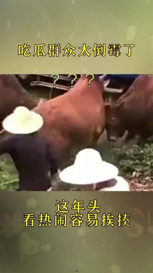 这年头瓜要怎么吃,瓜果新吃法，解锁夏日美味新境界