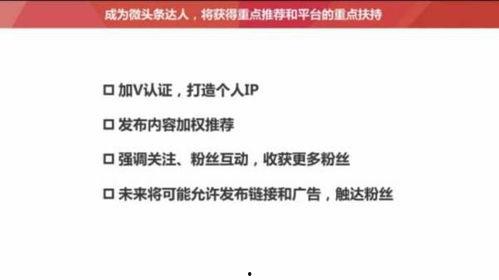 在头条发送的知识文章,深度解析XX领域最新动态