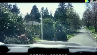 过往吃瓜,吃瓜群众视角下的娱乐圈风云录