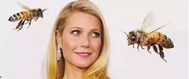 国外大脸下垂的明星,揭秘国外娱乐圈的“新潮流”现象