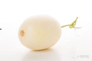 随机吃瓜13集,揭秘娱乐圈背后的秘密与真相