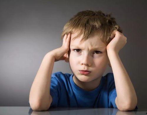 网红aile的爸爸,揭秘背后的故事与人生智慧