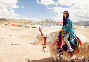 明星在藏区,揭秘明星在神秘雪域的传奇足迹