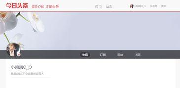 头条视频关注怎么查询,轻松获取文章副标题指南