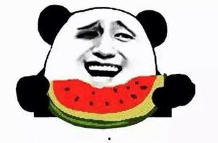 吃瓜群众狗哥,揭秘娱乐圈那些不为人知的幕后故事