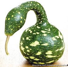 吃瓜歪瓜,揭秘娱乐圈的甜蜜与苦涩