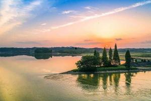 韩摆渡镇今日头条,聚焦本土发展，共话乡村振兴新篇章