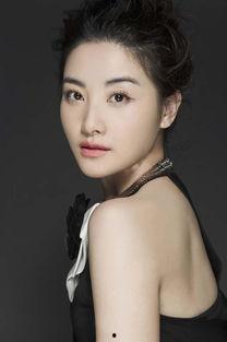 中国明星简介,璀璨星河中的璀璨星辰