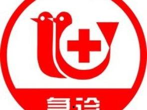 深圳宠物头条客服,用心守护，宠物生活更美好