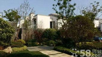 鄢陵县恒达新城最新爆料,揭秘未来宜居新地标